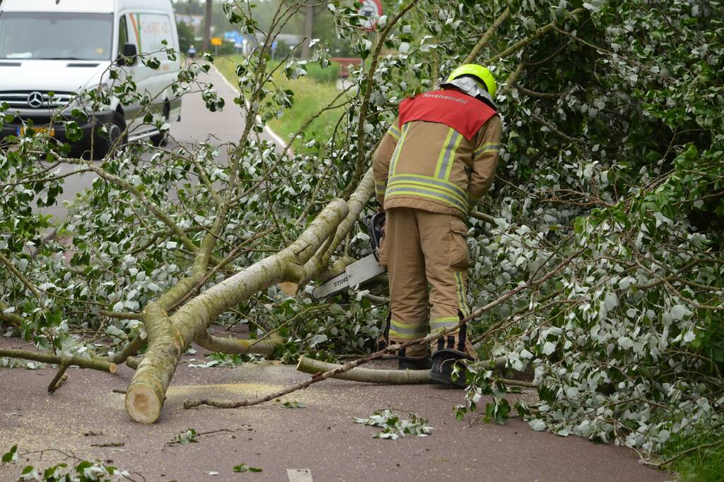 Omgewaaide boom blokkeert fietspad