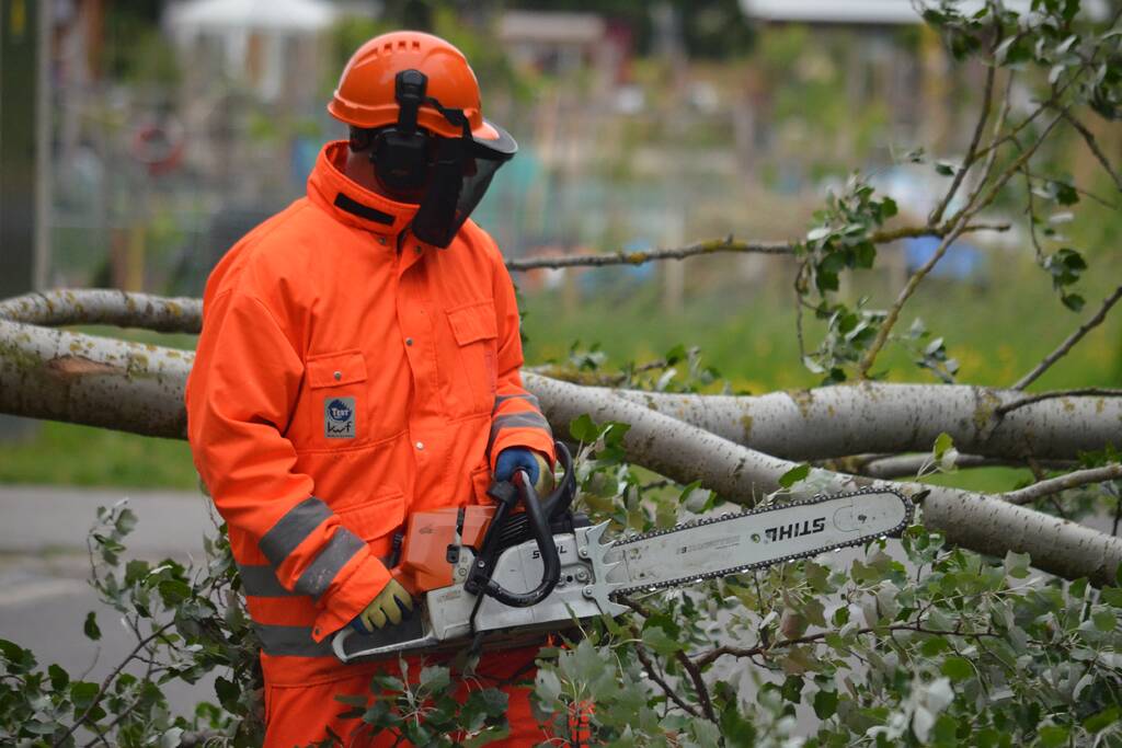 Omgewaaide boom blokkeert fietspad