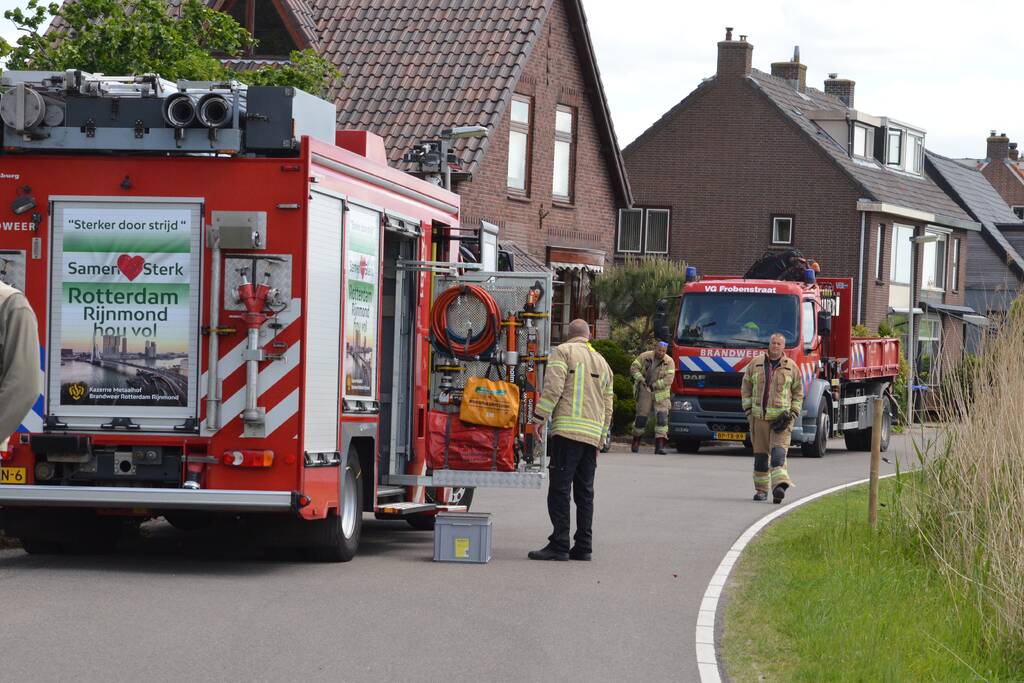 Paard in stal in problemen geraakt