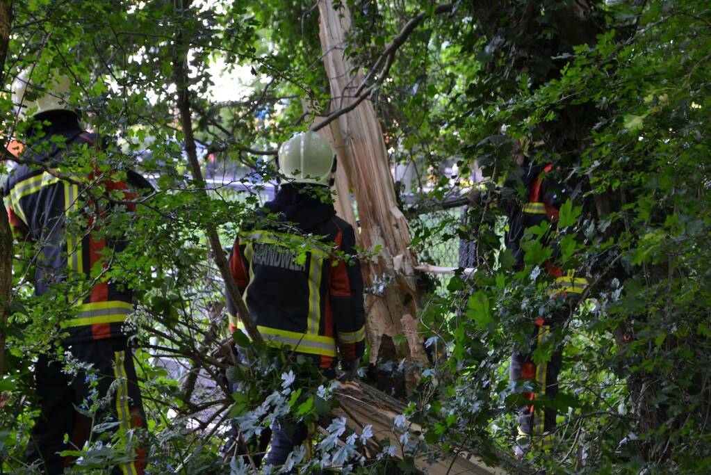Boom valt op hekwerk bij theehuis