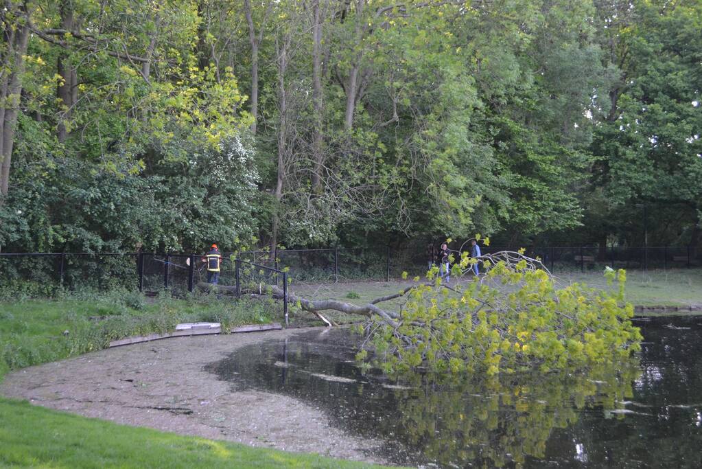 Boom valt op hekwerk bij theehuis