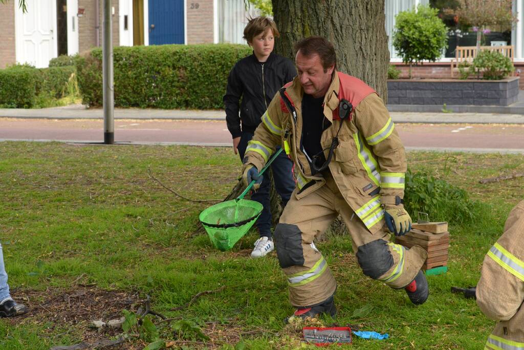 Meerkoetkuiken gered uit kolk