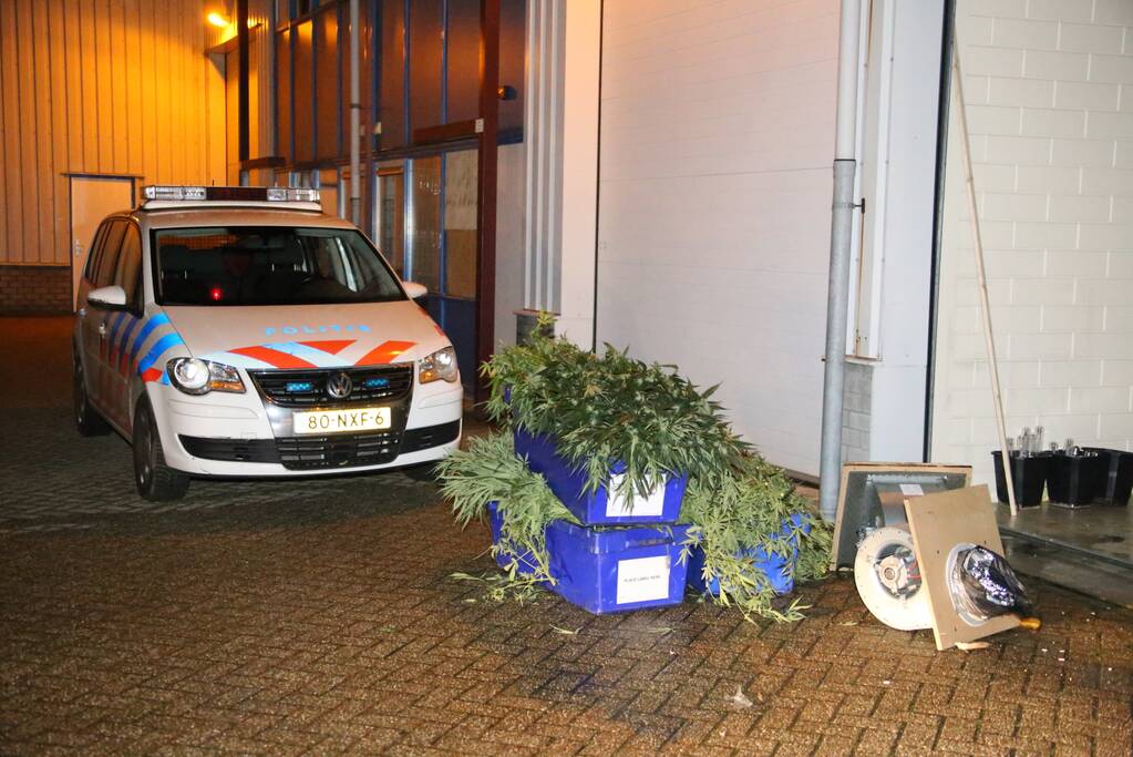 Hennepkwekerij aangetroffen in woning
