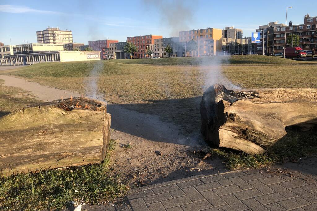 Brandweer blust brandende boomstammen