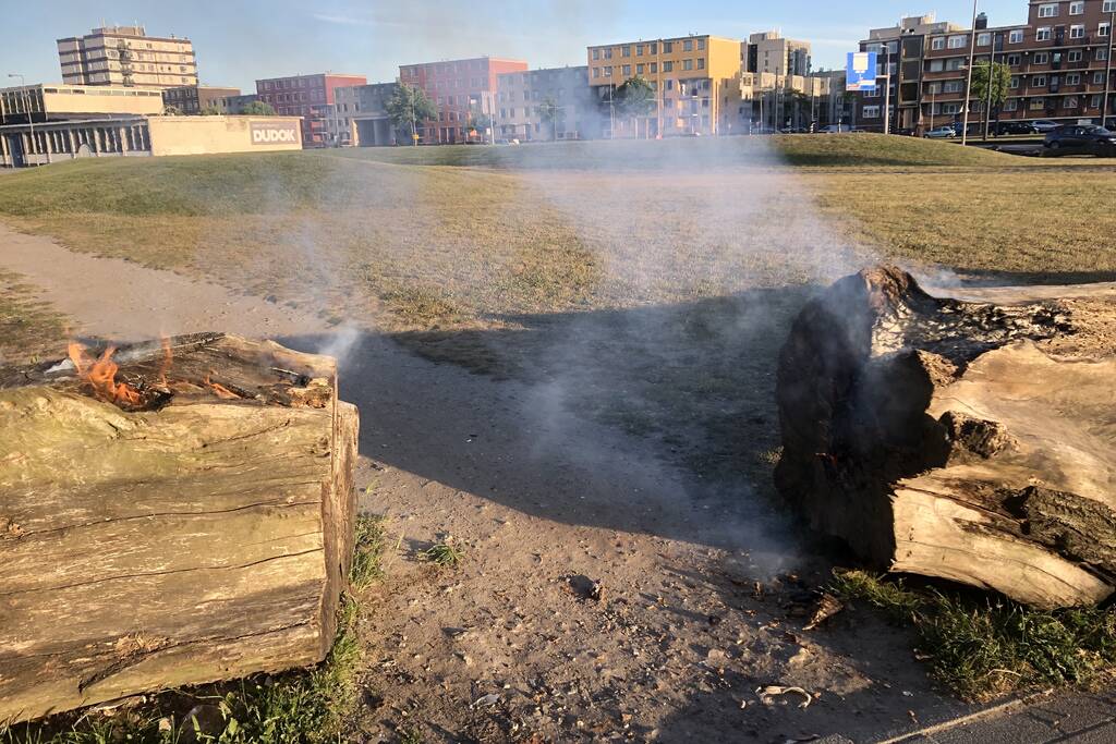 Brandweer blust brandende boomstammen