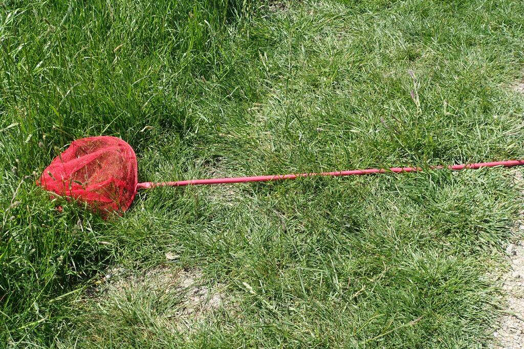 Grote zoekactie na aangetroffen kinderdriewielers langs waterkant