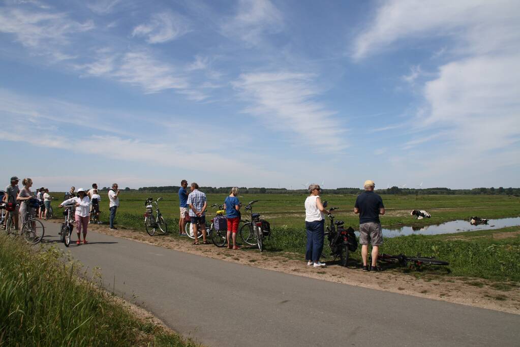 Koe belandt in sloot, en komt er niet meer uit