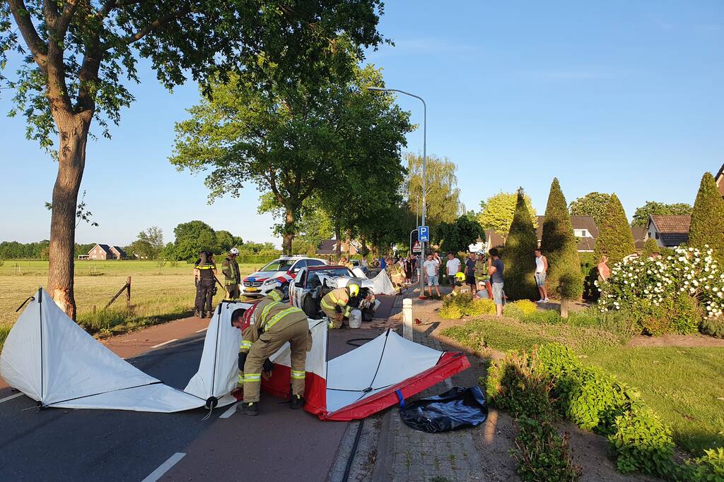 Auto total-loss na frontale aanrijding met boom