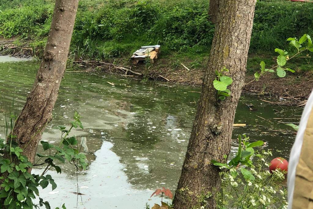 Dode vissen in vijver aangetroffen