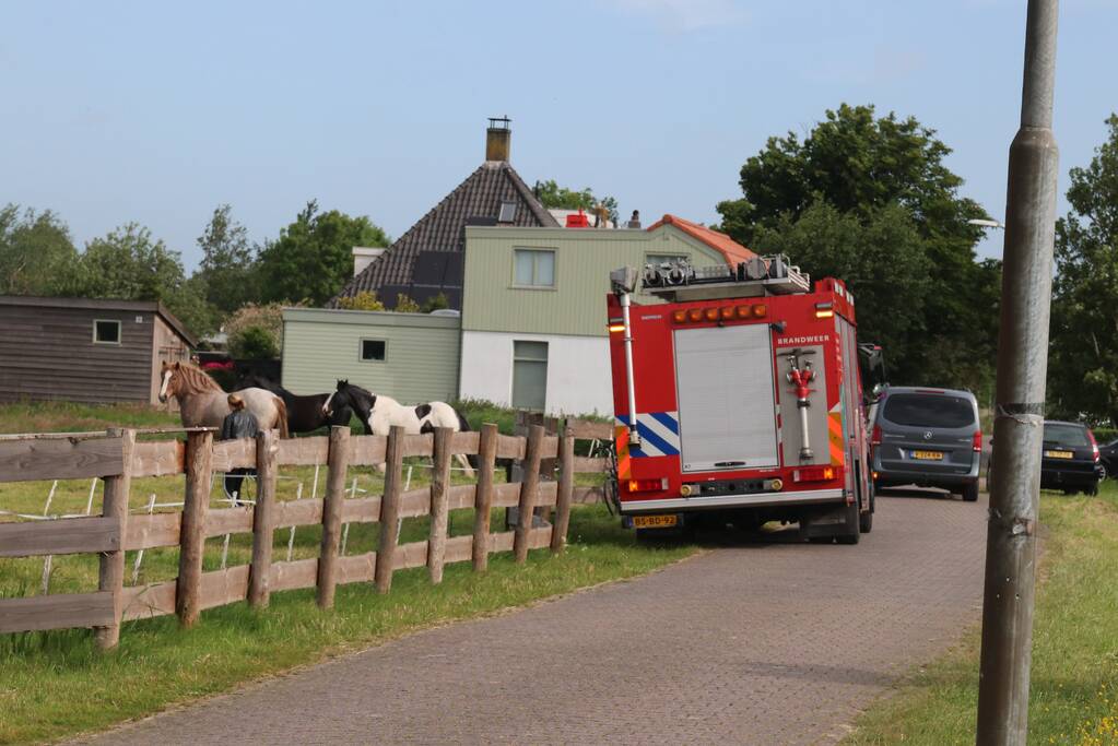 Paard belandt te water