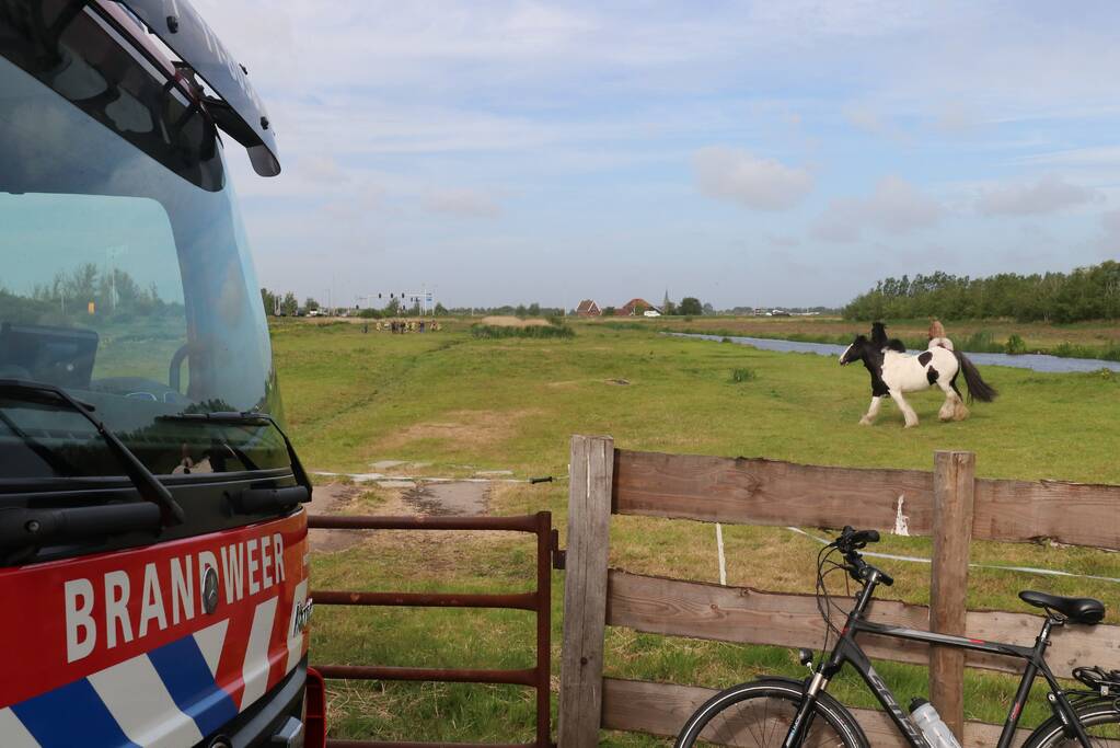 Paard belandt te water