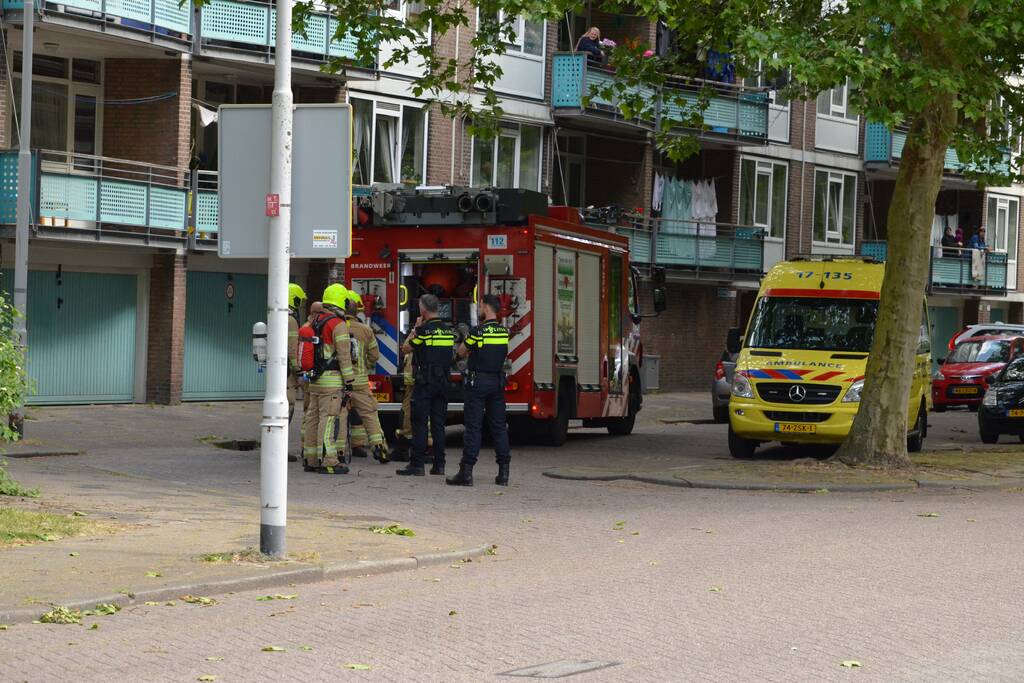Brand in flatwoning