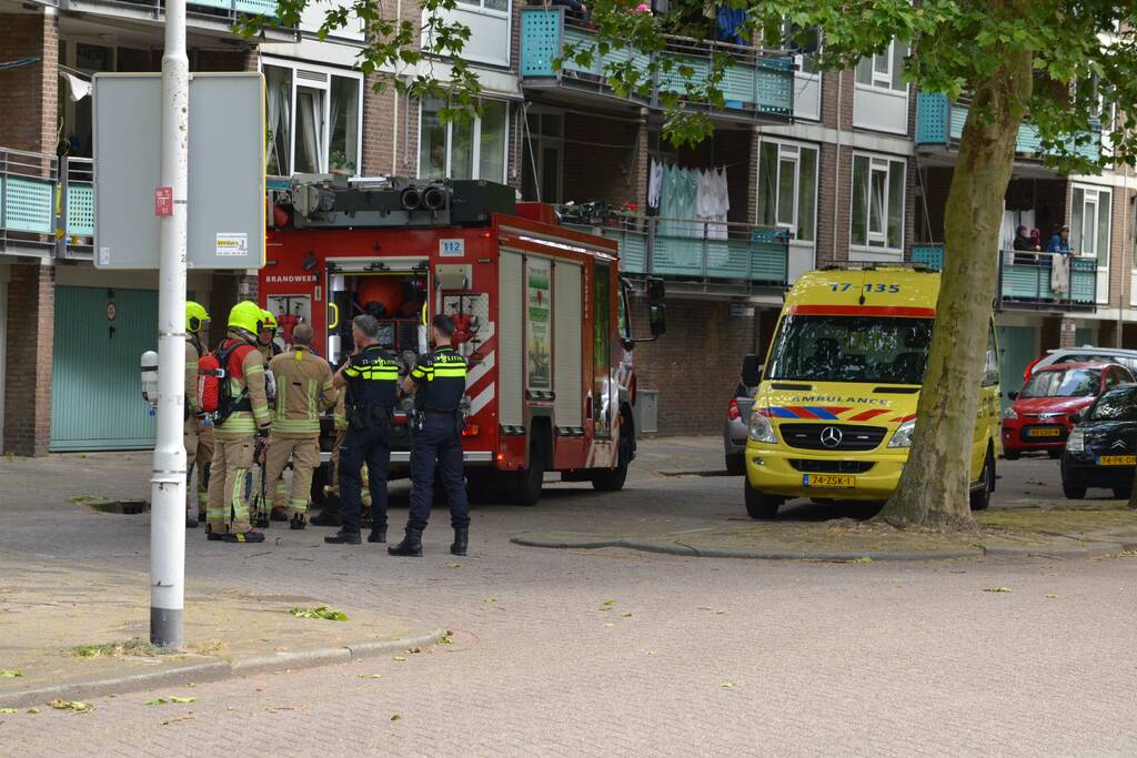 Brand in flatwoning