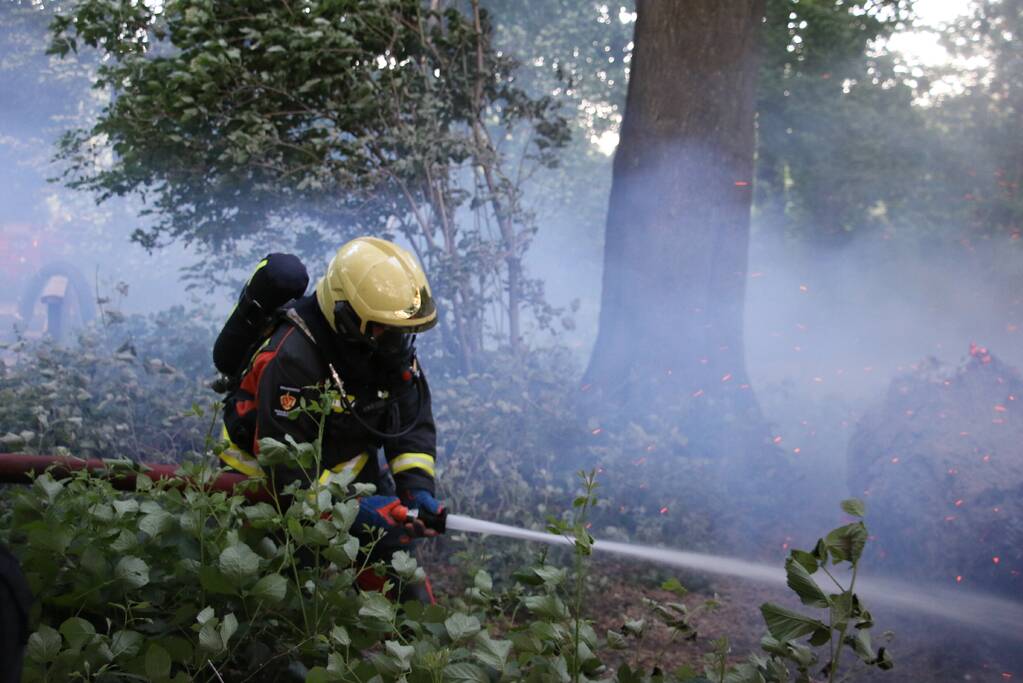 Flinke rookontwikkeling bij brand in meerdere boomstammen