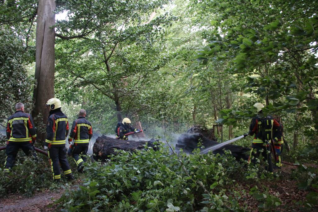 Flinke rookontwikkeling bij brand in meerdere boomstammen