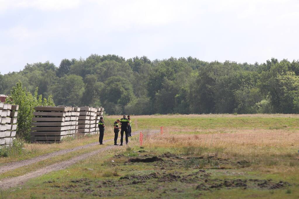 Loslopende schapen langs snelweg