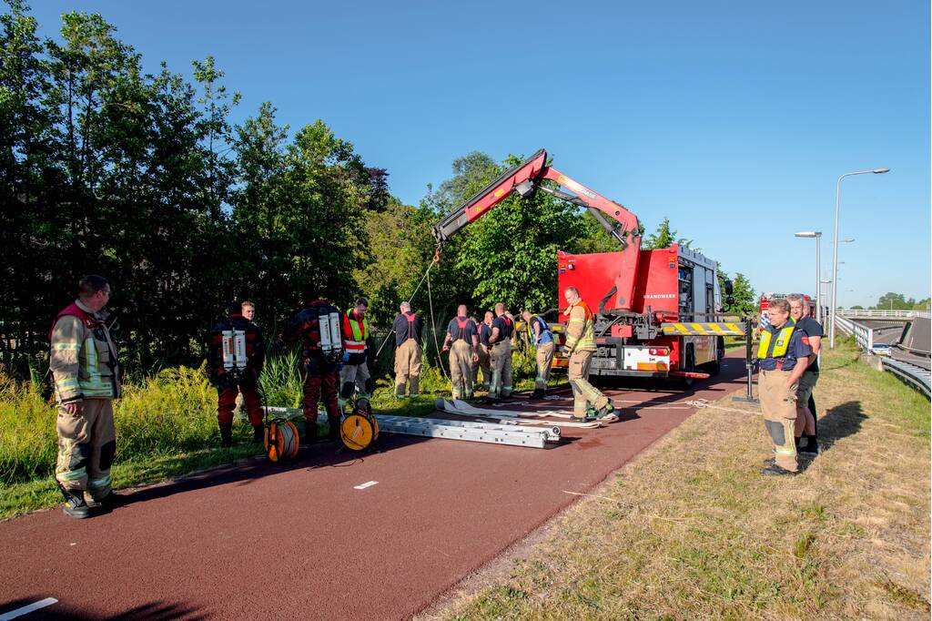 Paard in sloot overleden