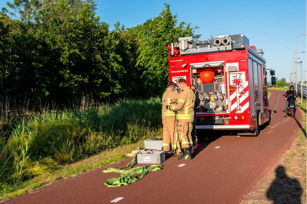 Paard in sloot overleden