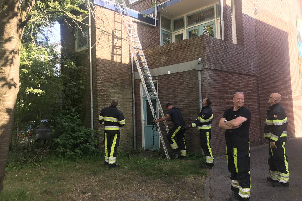 Kat vlucht van dak bij het zien van de brandweer