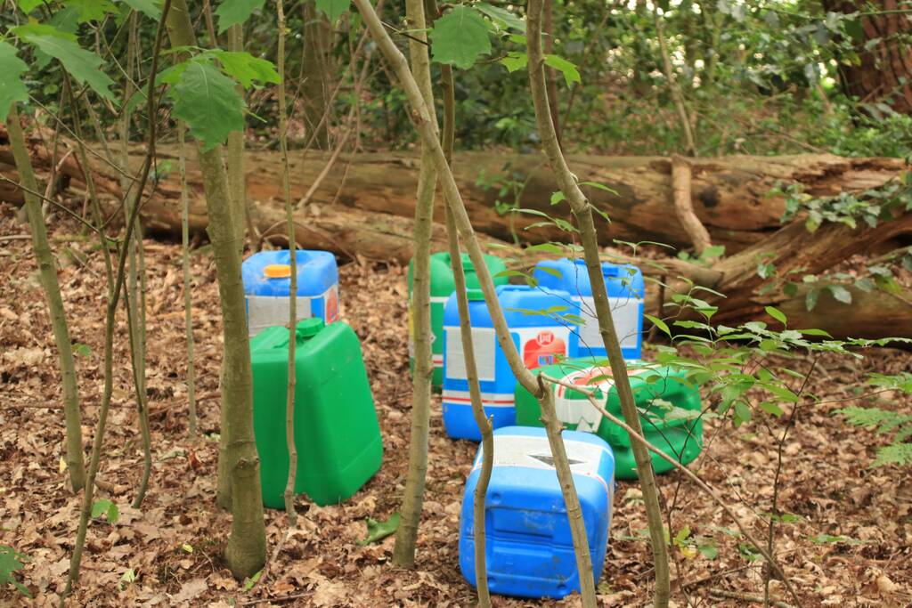 Drugsdumping blijkt drinkwater voor schapen