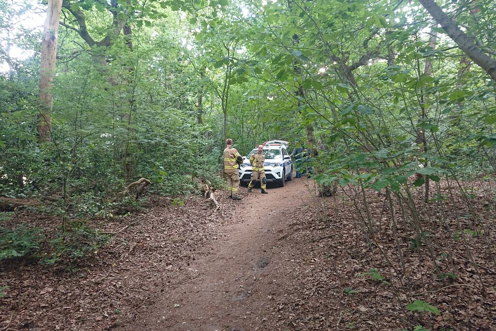 Drugsdumping blijkt drinkwater voor schapen