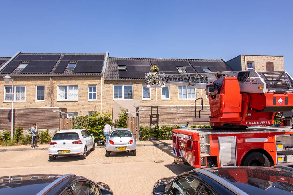 Kat Pumba vast in dakgoot