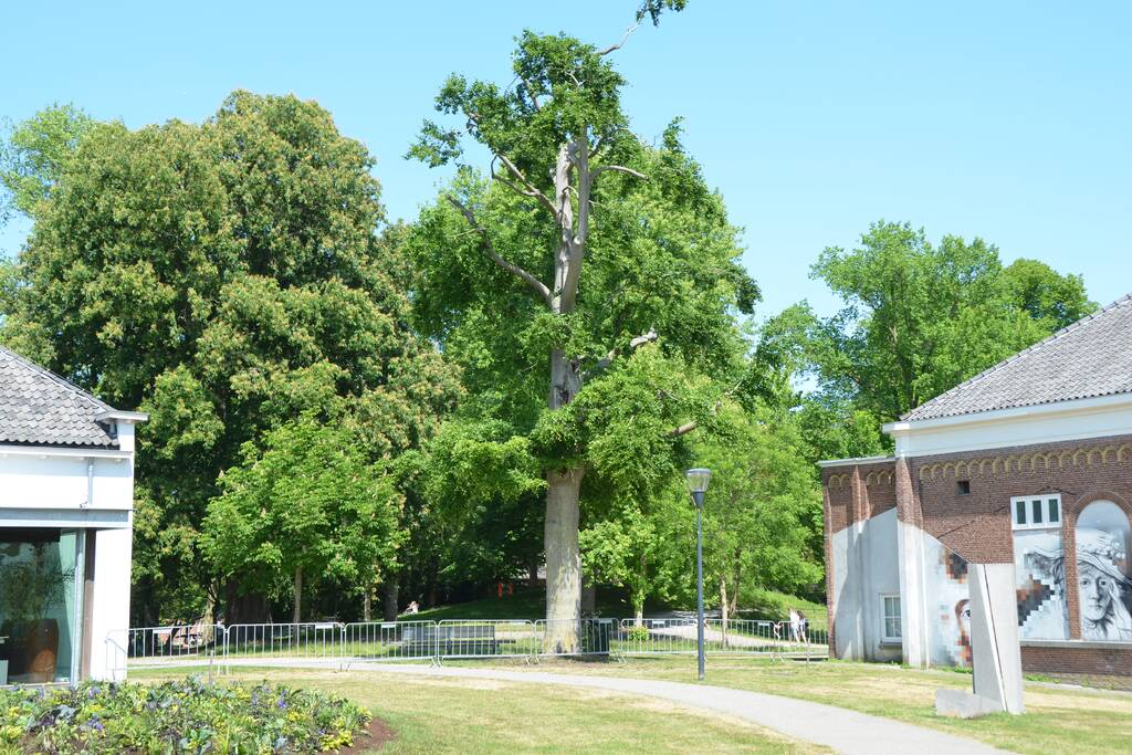Stadspark afgesloten vanwege corona maatregelen