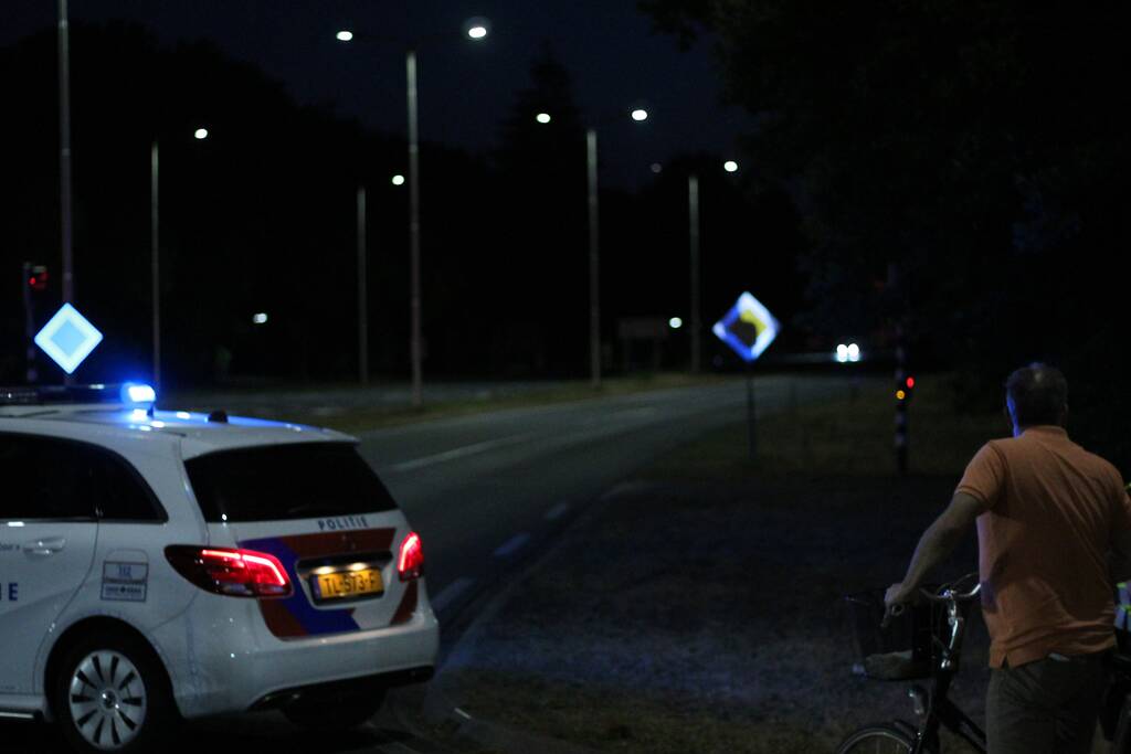 Automobilist (18) overleden na crash tegen boom