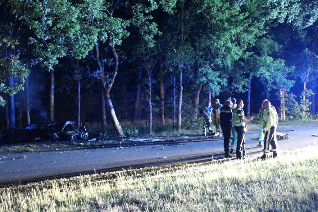 Automobilist (18) overleden na crash tegen boom