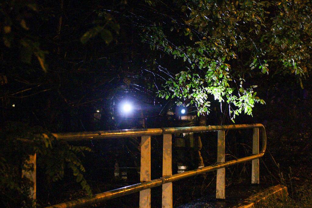 Brand in bos snel onder controle