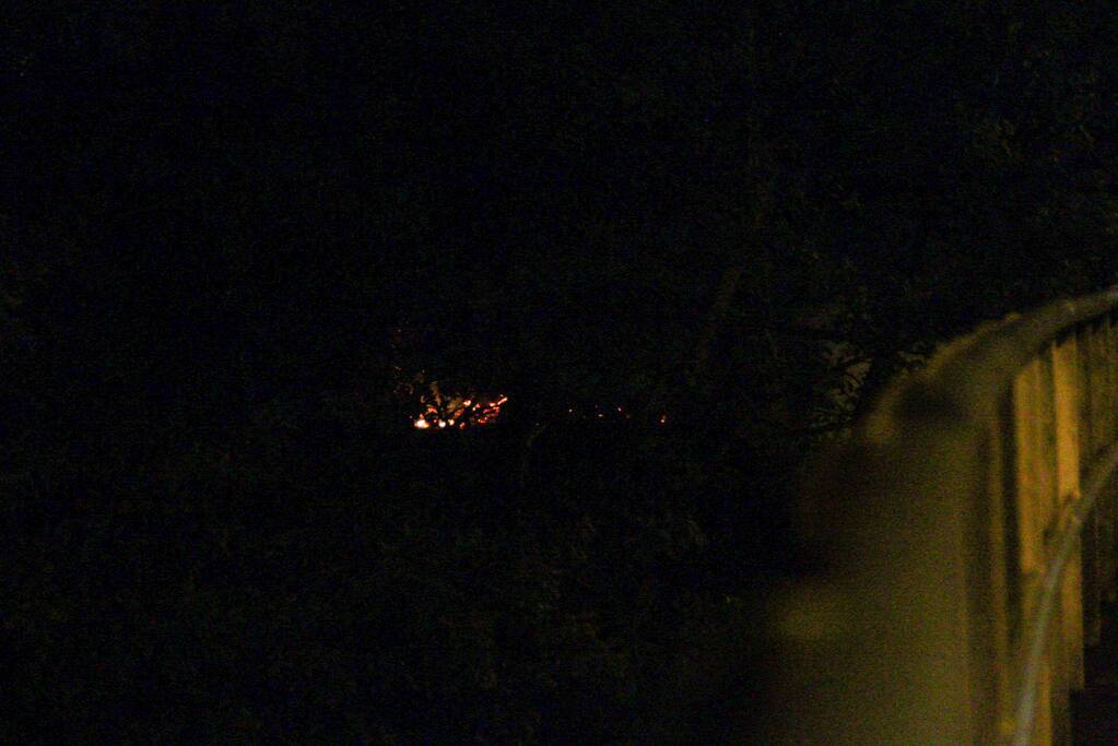 Brand in bos snel onder controle