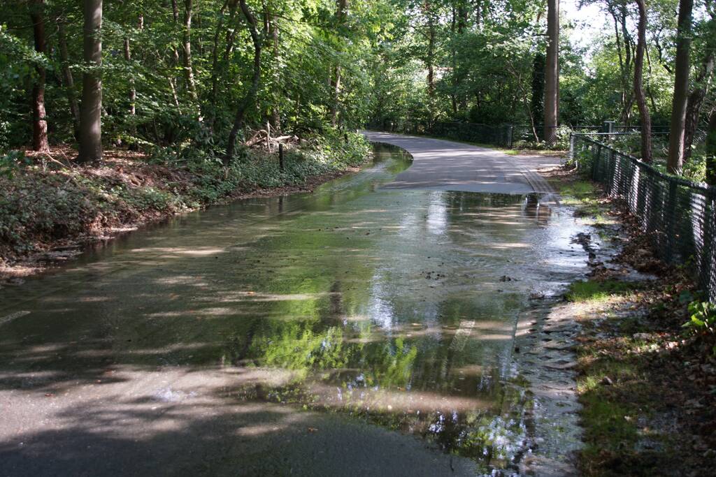 Straat blank door gesprongen waterleiding