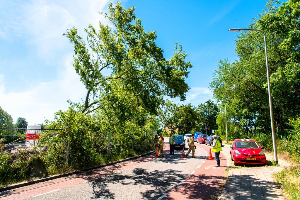 Brandweer verwijderd scheef hangende boom