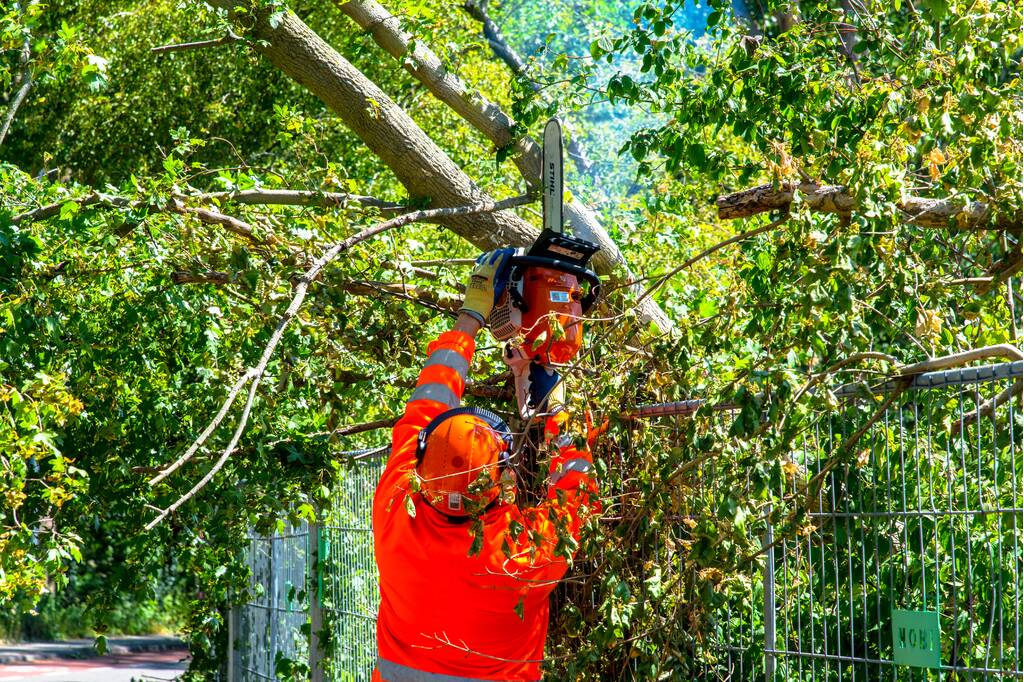 Brandweer verwijderd scheef hangende boom