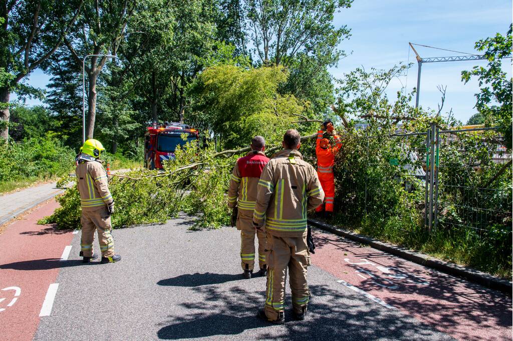Brandweer verwijderd scheef hangende boom