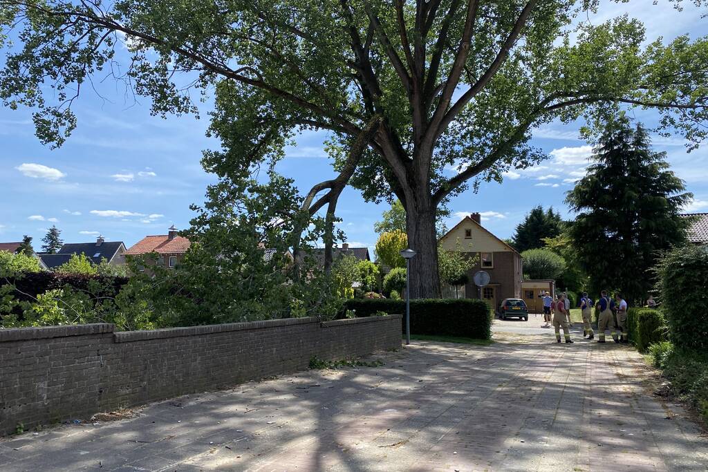 Grote tak breekt af en dreigt te vallen