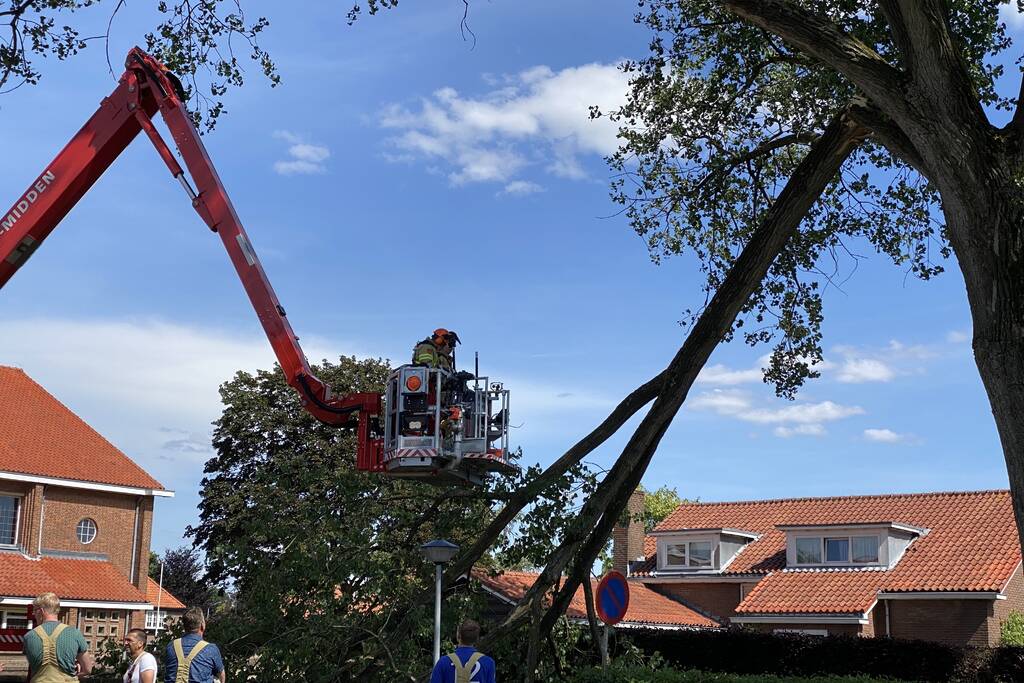 Grote tak breekt af en dreigt te vallen