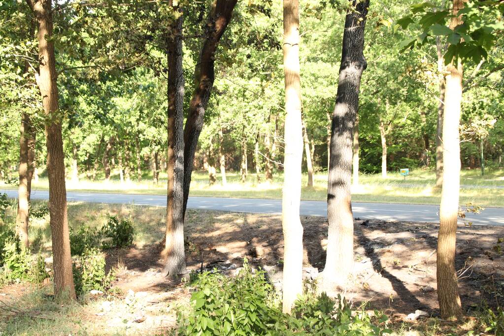 Bloemen neergelegd na tragisch verkeersongeval