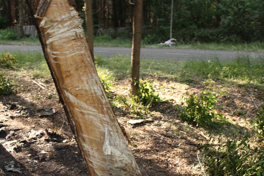 Bloemen neergelegd na tragisch verkeersongeval