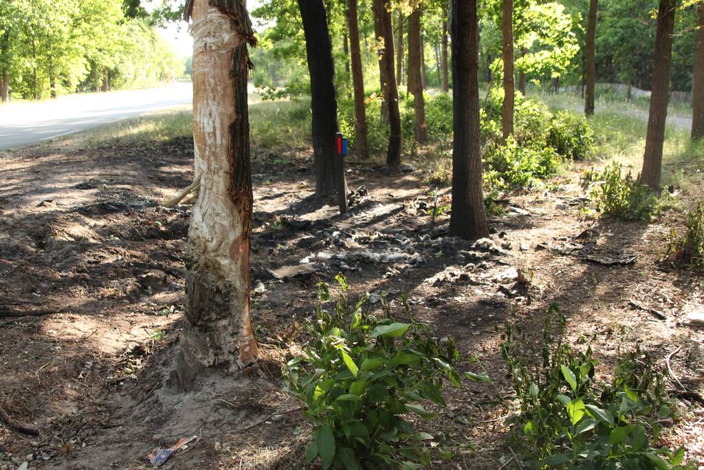 Bloemen neergelegd na tragisch verkeersongeval