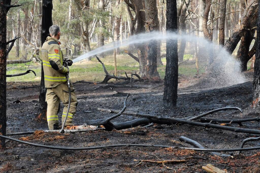 Groot stuk natuurgebied verwoest door brand