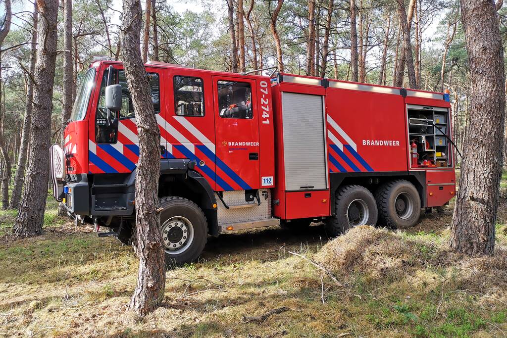 Groot stuk natuurgebied verwoest door brand