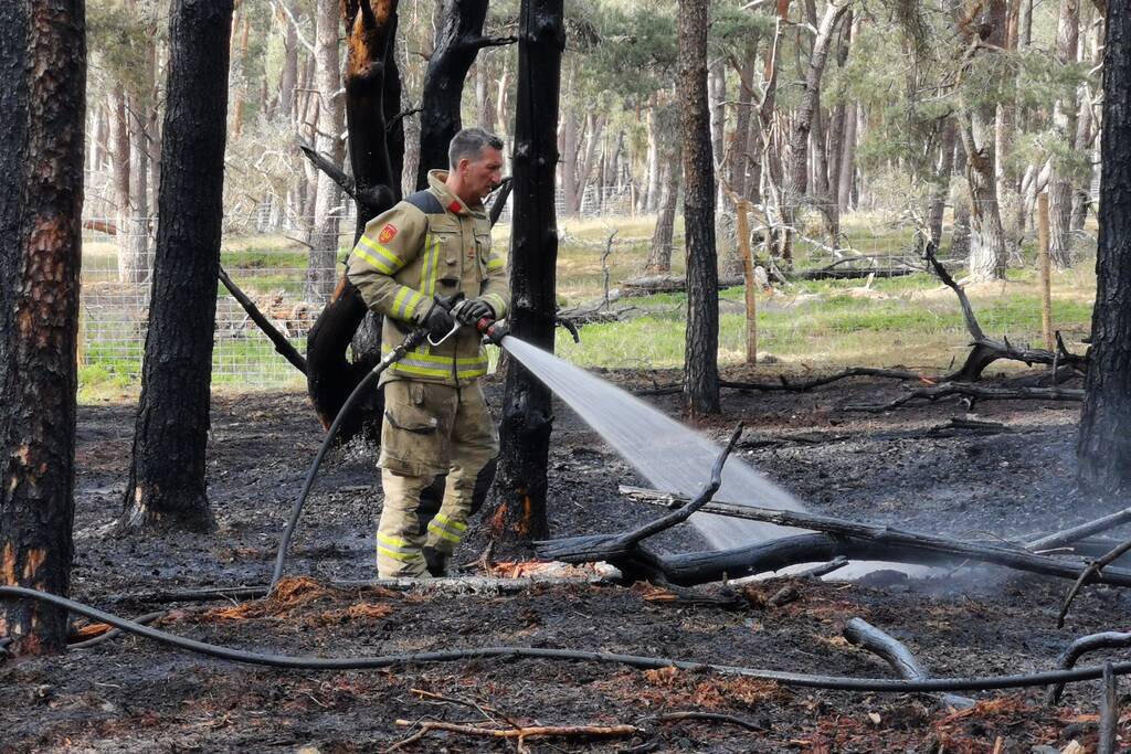 Groot stuk natuurgebied verwoest door brand
