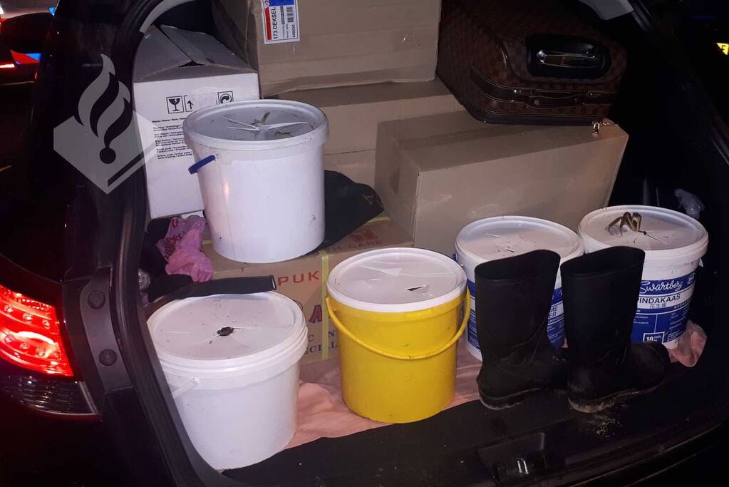 Mannen na achtervolging gepakt na vangen van Wolhandkrabben