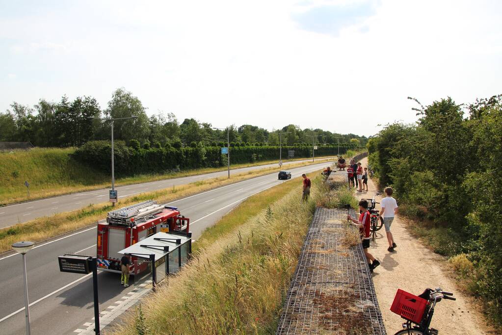 Brand op geluidswal snel geblust