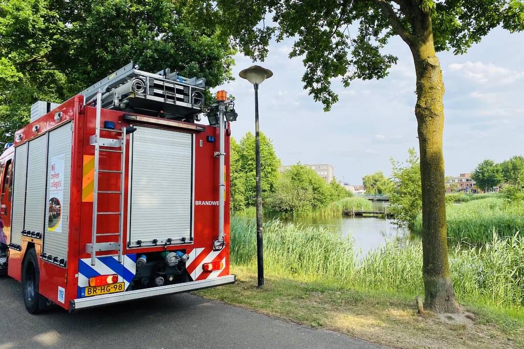 Omstanders doven vuur in park in Nieuwland