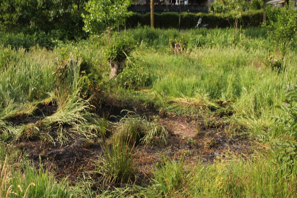 Omstanders doven vuur in park in Nieuwland