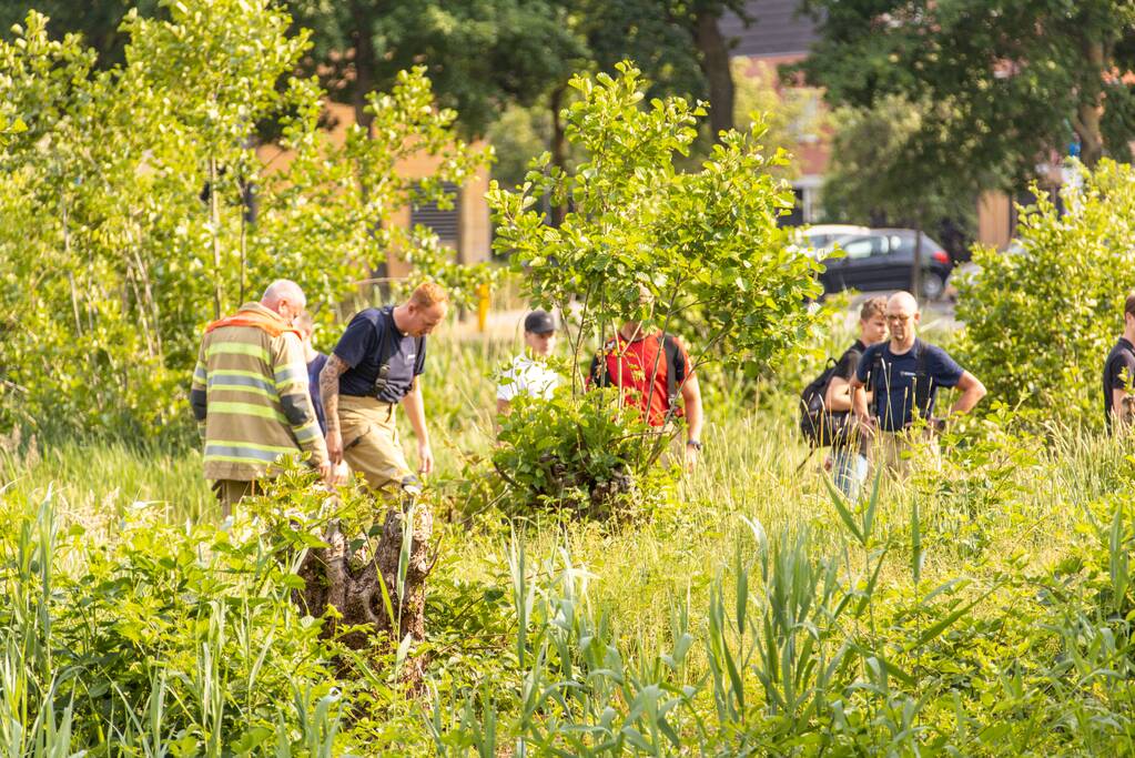 Omstanders doven vuur in park in Nieuwland