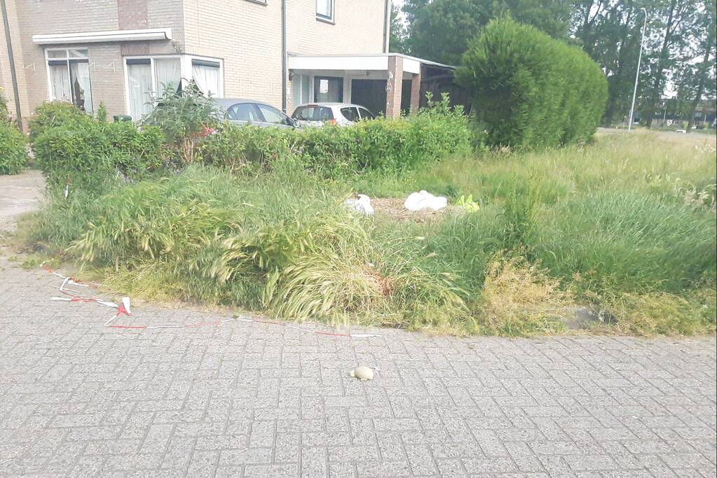 Eieren van broedende zwanen kapot gegooid