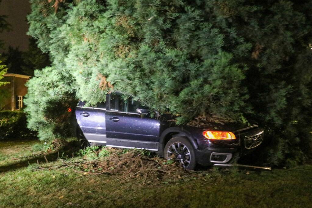Automobilist vliegt uit de bocht en belandt in bosjes